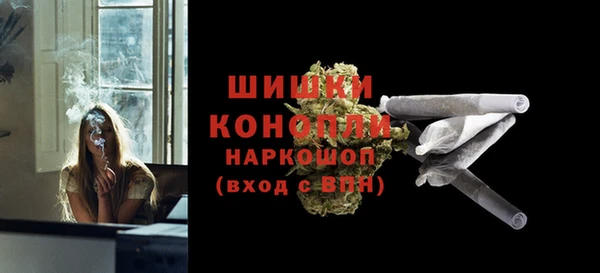 mix Гусиноозёрск