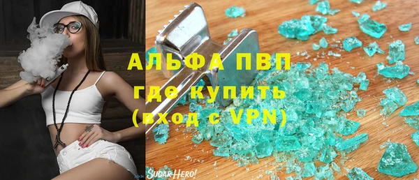 круглые Гусев