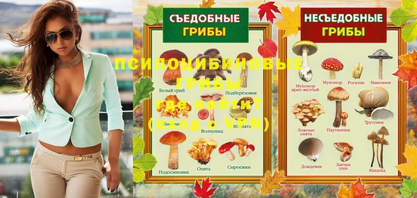 метадон Гусь-Хрустальный