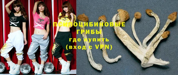 круглые Гусев