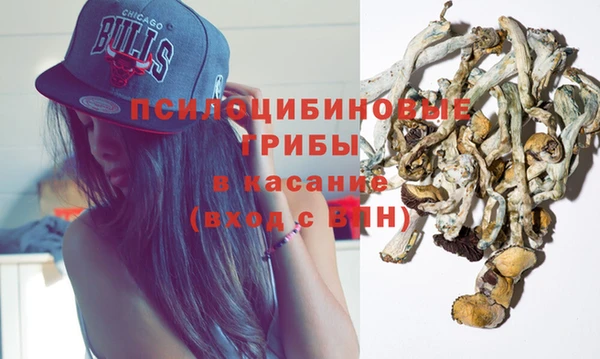 круглые Гусев
