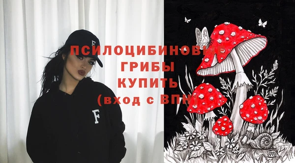 mix Гусиноозёрск