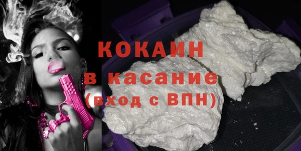 круглые Гусев