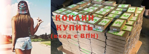 круглые Гусев
